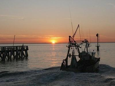 F2 Plages Du Debarquement Lägenhet Grandcamp-Maisy Exteriör bild